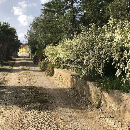 Quinta Dos Canais Setubal Exterior photo