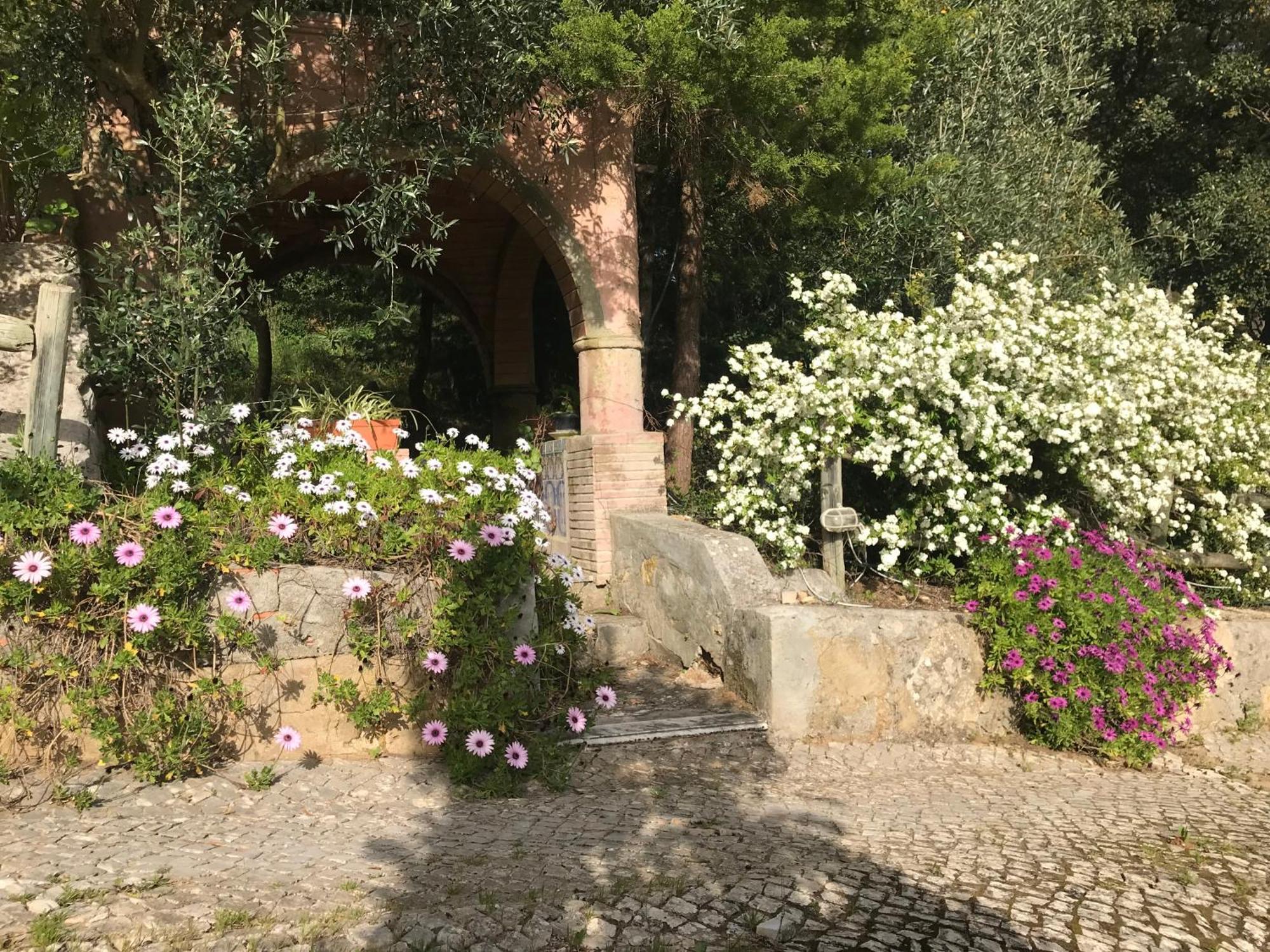 Quinta Dos Canais Setubal Exterior photo
