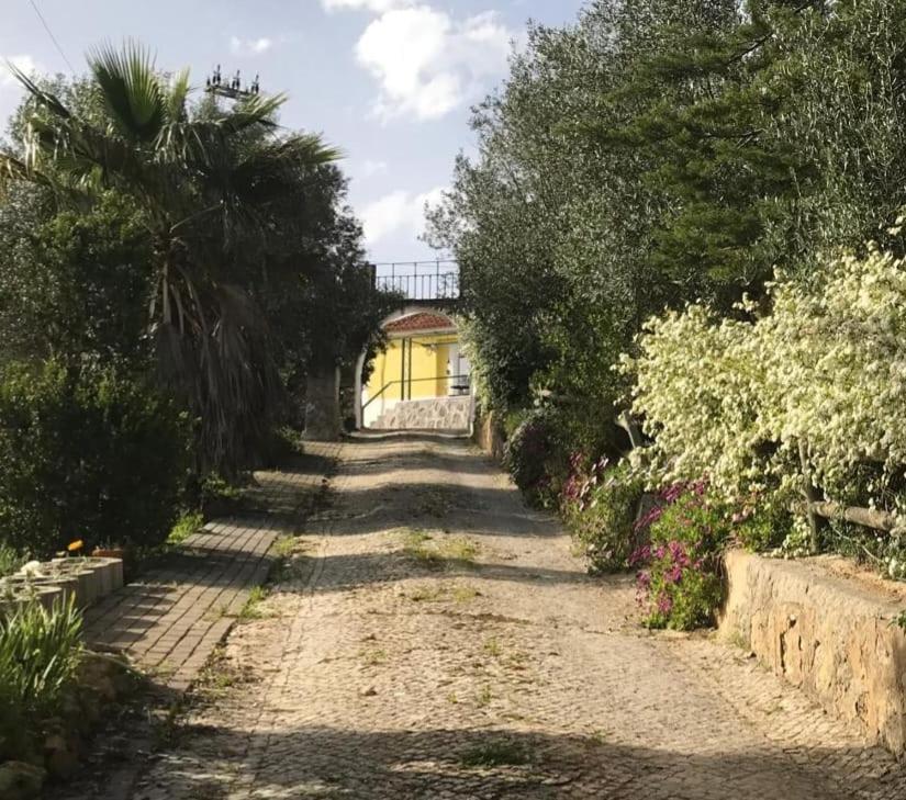 Quinta Dos Canais Setubal Exterior photo